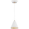 Подвесной светильник FREYA FALKE MARKET FR8001PL-01WG